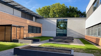 Der künftige Schulgarten