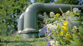 Fernwärme-Rohre mit Blumen