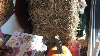 Hallo Herbst Detail 1