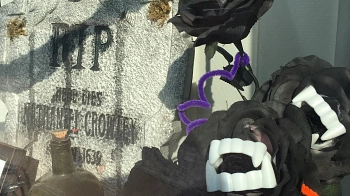 Hallo Herbst Detail 3