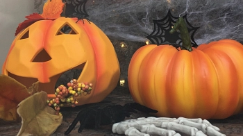 Hallo Herbst Detail 5