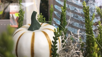 Hallo Herbst Detail 6