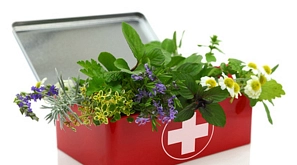 Erste-Hilfe Kasten mit Blumen