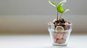 Pflanze wächst aus Glas mit Münzen
