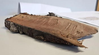 Neubau GS + Kita in Harenberg - Ausgrabungsarbeiten