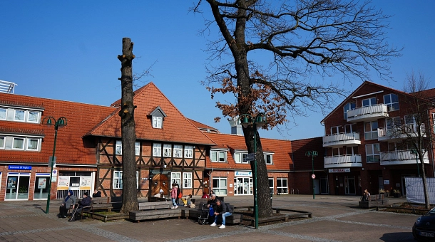 Unvermeidliche Baumfällung: